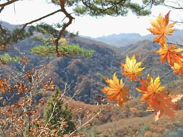 打胎药在线购买全国包邮投票通过 马斯克的星舰基地成了一座“真正的”城镇