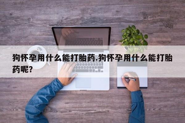 打胎药在线购买全国包邮狗怀孕用什么能打胎药.狗怀孕用什么能打胎药呢？