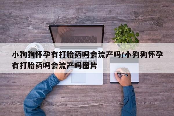 打胎药在线购买全国包邮小狗狗怀孕有打胎药吗会流产吗/小狗狗怀孕有打胎药吗会流产吗图片