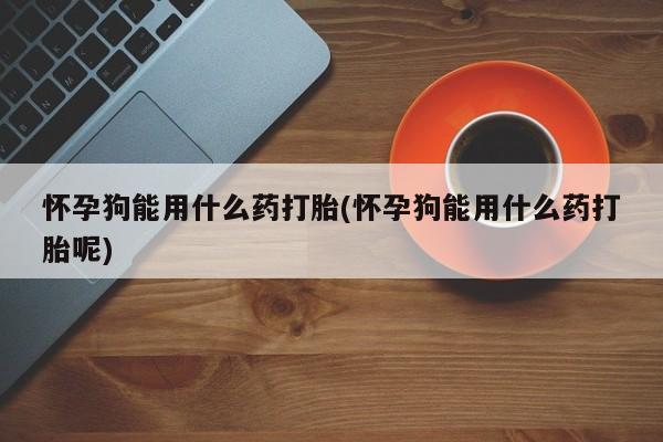 打胎药在线购买全国包邮怀孕狗能用什么药打胎(怀孕狗能用什么药打胎呢)